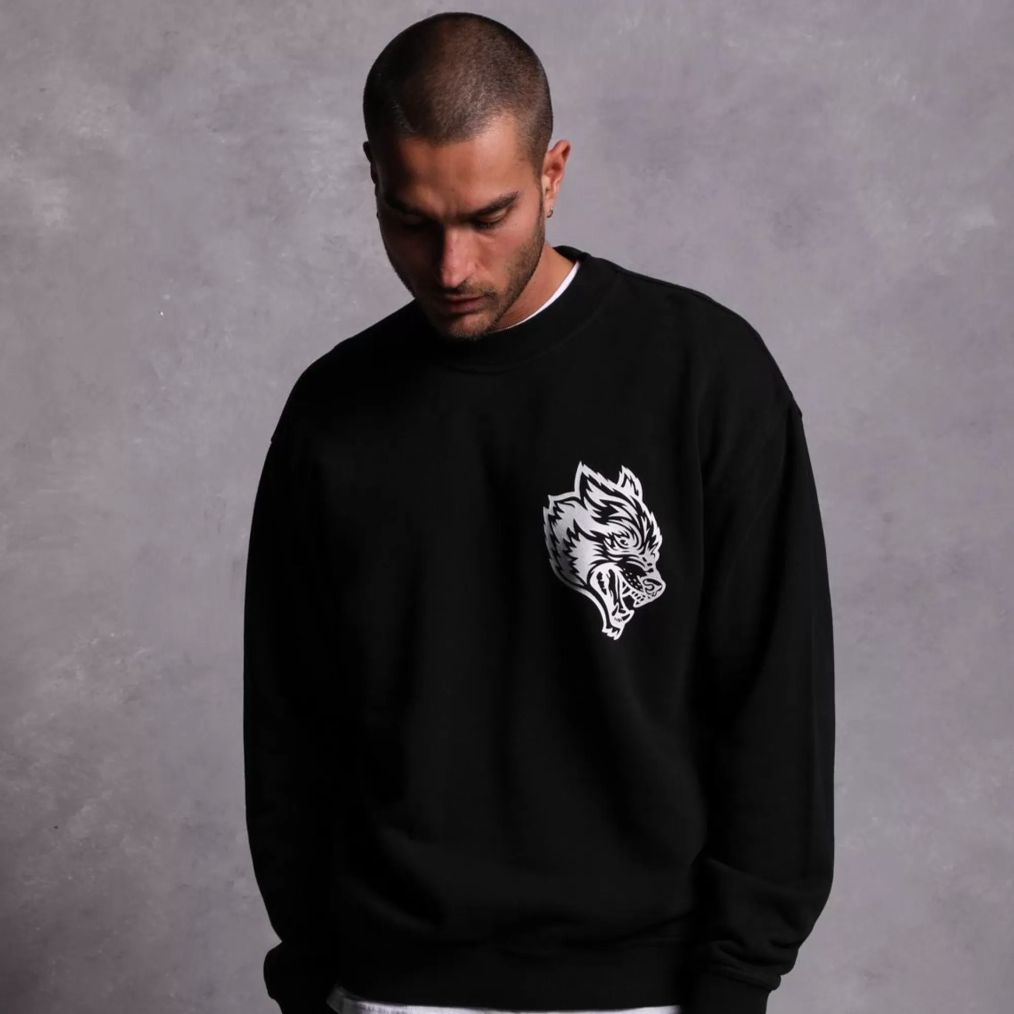 Clearance House Of Wolves "Vintage Cornell" Crewneck In Black Men Crewnecks