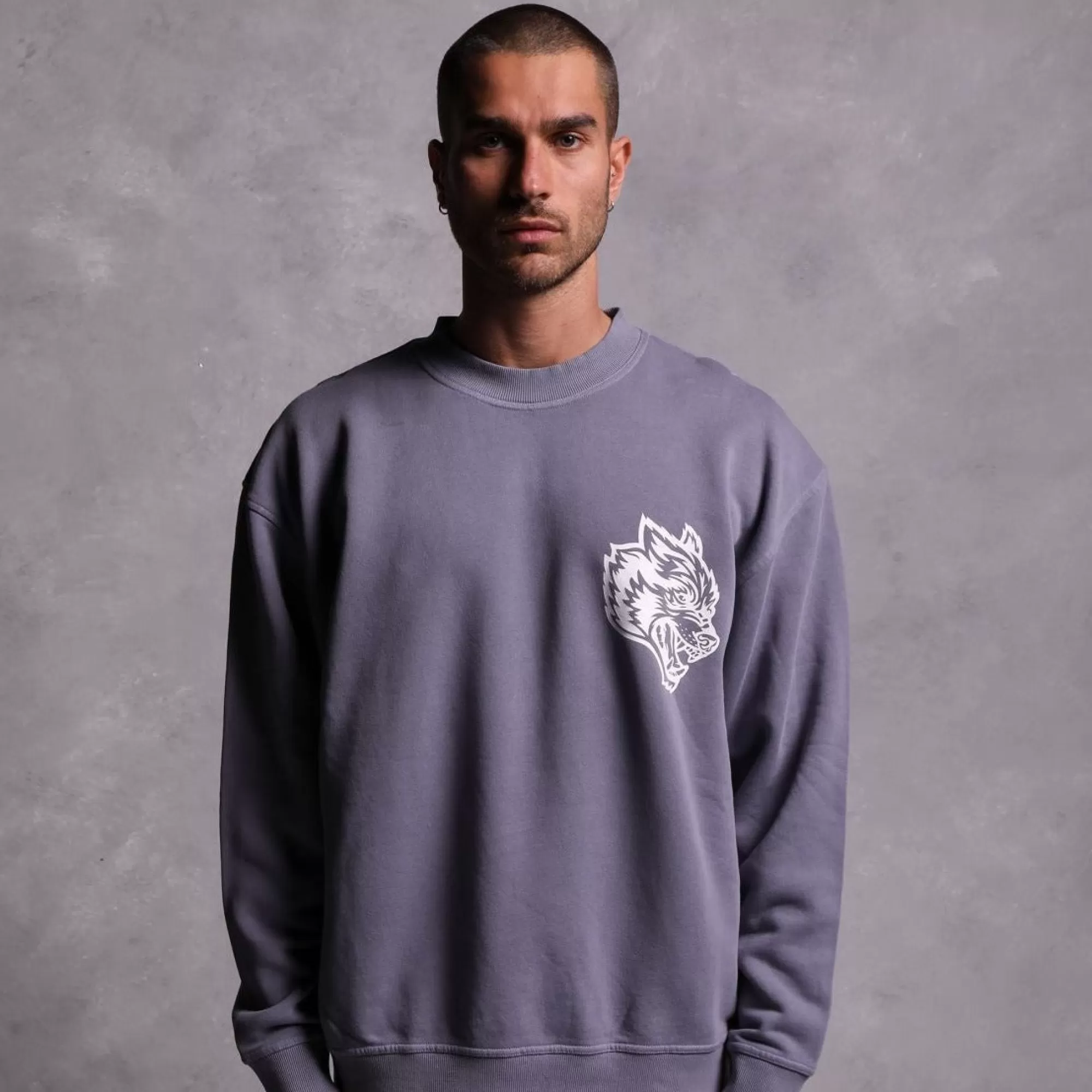 Shop House Of Wolves "Vintage Cornell" Crewneck In Norse Purple Men Crewnecks