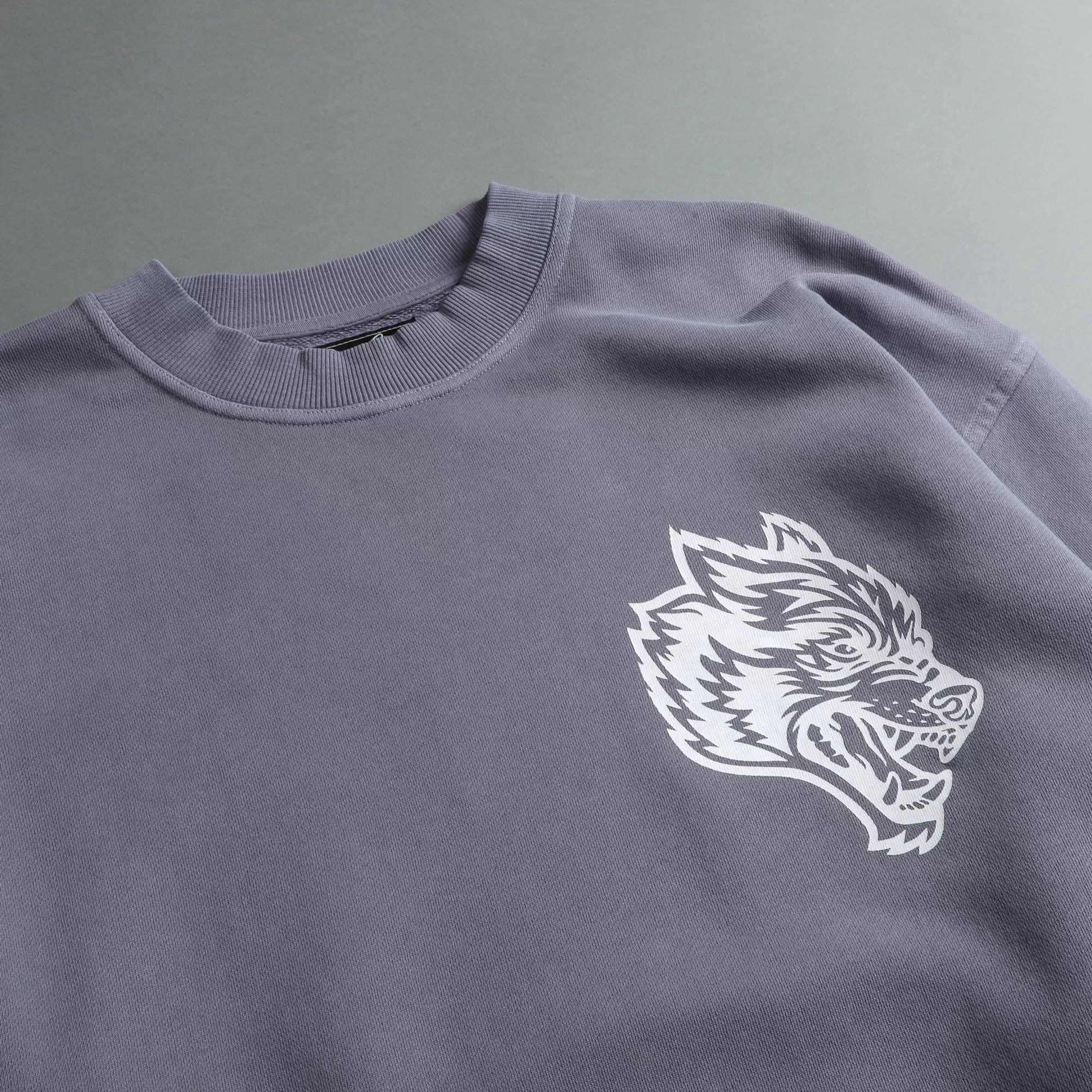 Shop House Of Wolves "Vintage Cornell" Crewneck In Norse Purple Men Crewnecks