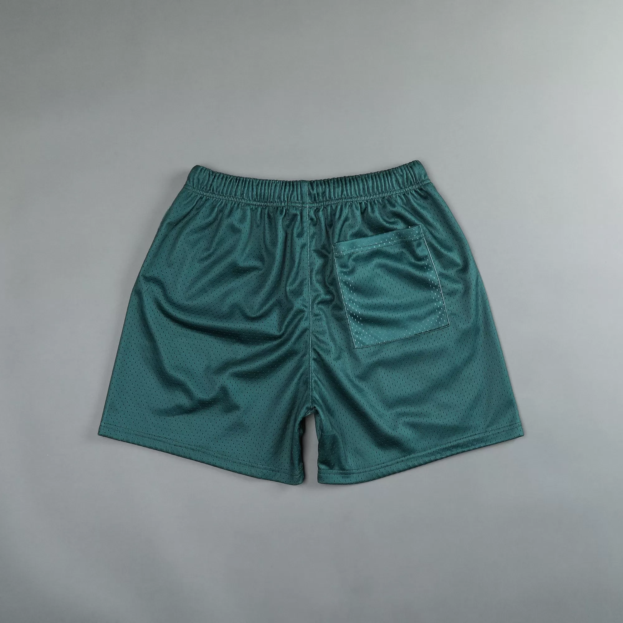 Shop Nfgu Until Valhalla 5" Mesh Shorts In Norse Green Men Shorts