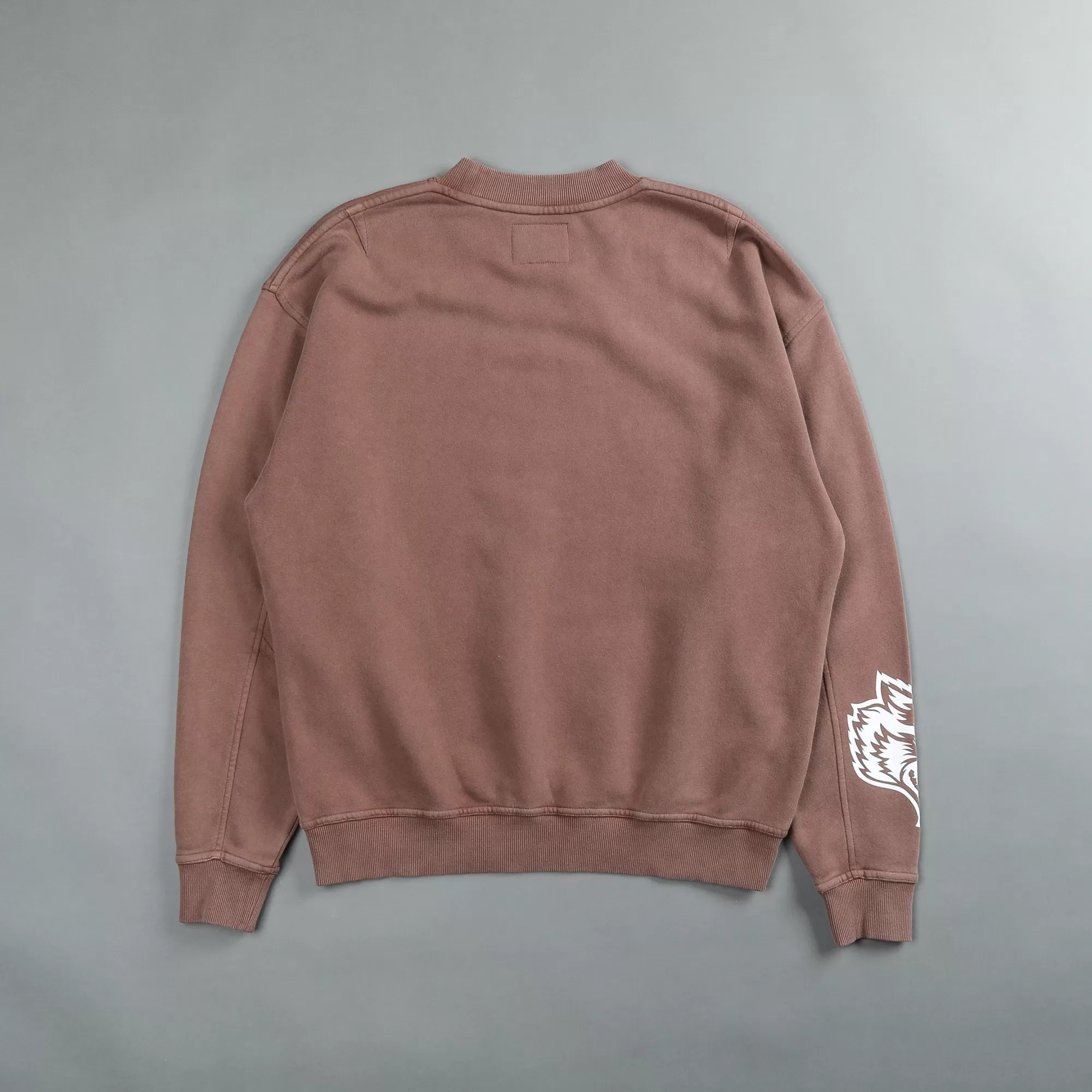 Best Sewn Together "Vintage Cornell" She Crewneck In Norse Brown Women Tops