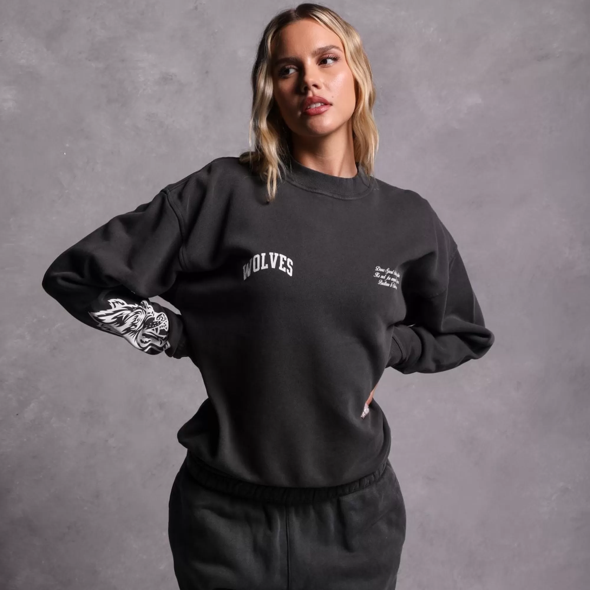 New Sewn Together "Vintage Cornell" She Crewneck In Wolf Gray Women Tops