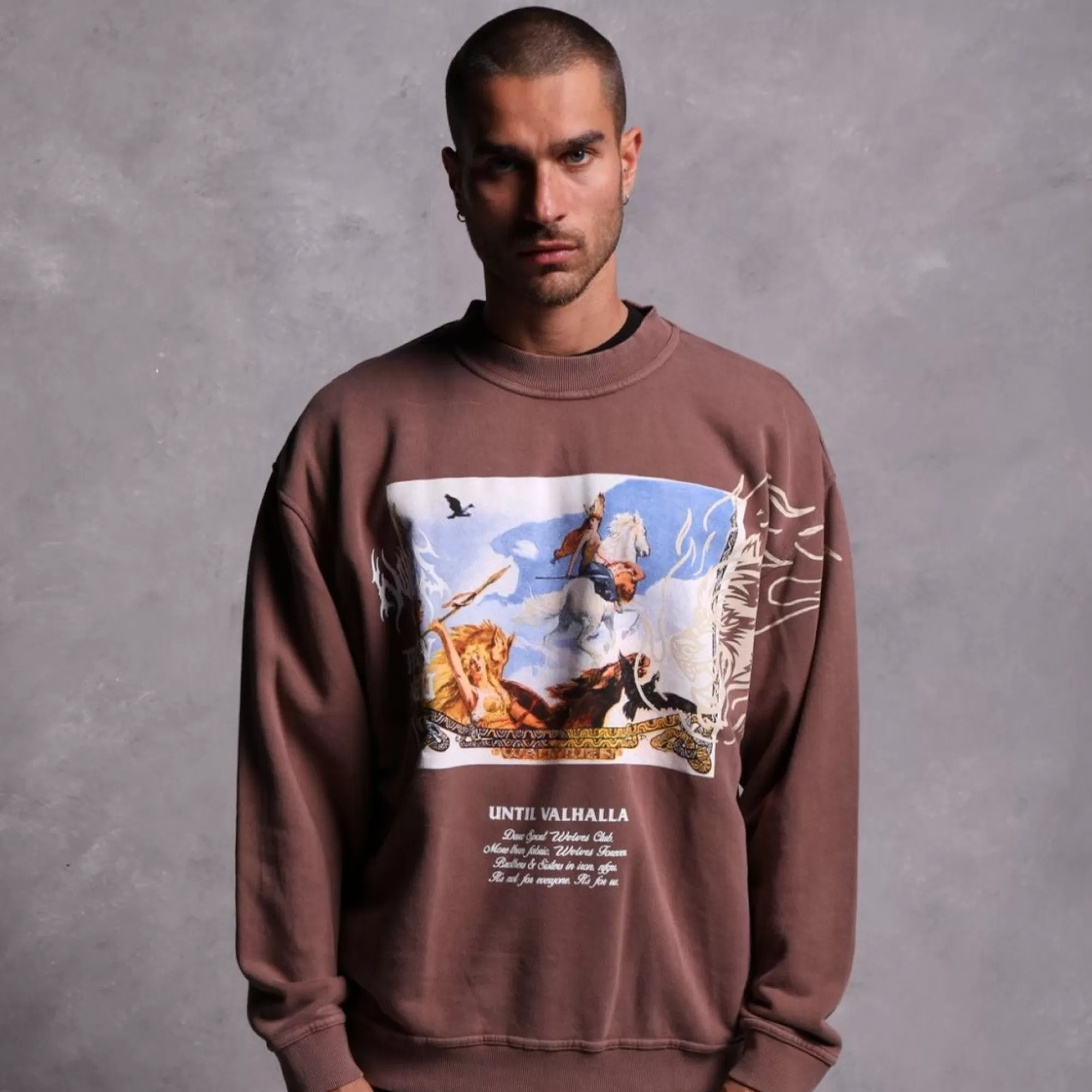 Sale Until Our End "Vintage Cornell" Crewneck In Norse Brown Men Crewnecks